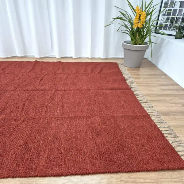 Extra Large Terracotta Rug - 200x300cm - Ring Line Rug