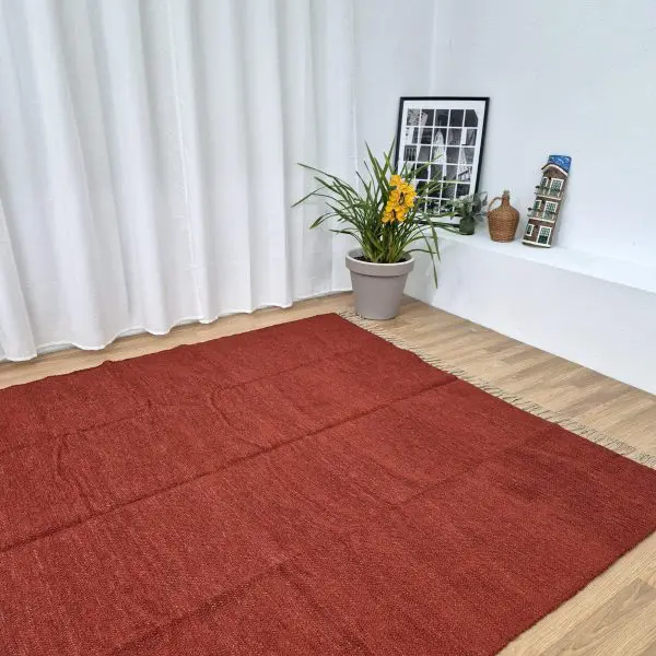 Extra Large Terracotta Rug - 200x300cm - Ring Line Rug