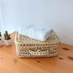 small palm suitcase