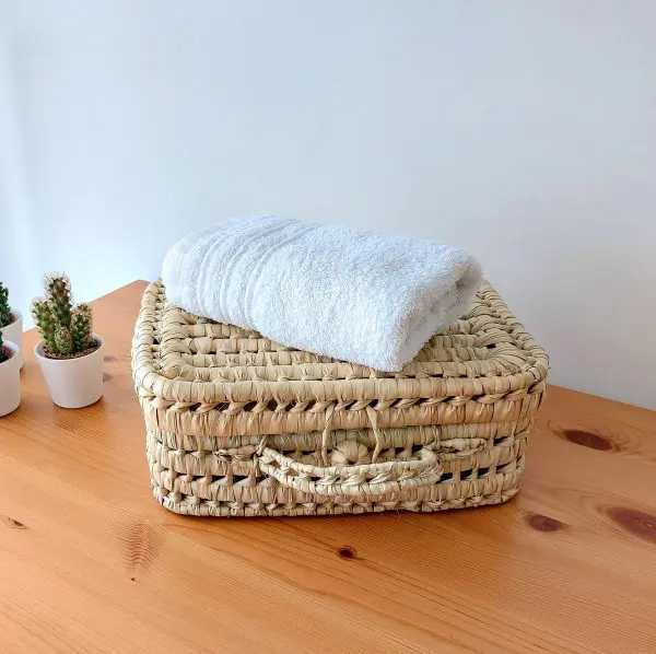 small palm suitcase