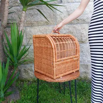 Wicker Pet Carrier