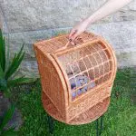 Wicker Pet Carrier With Cute Cushion
