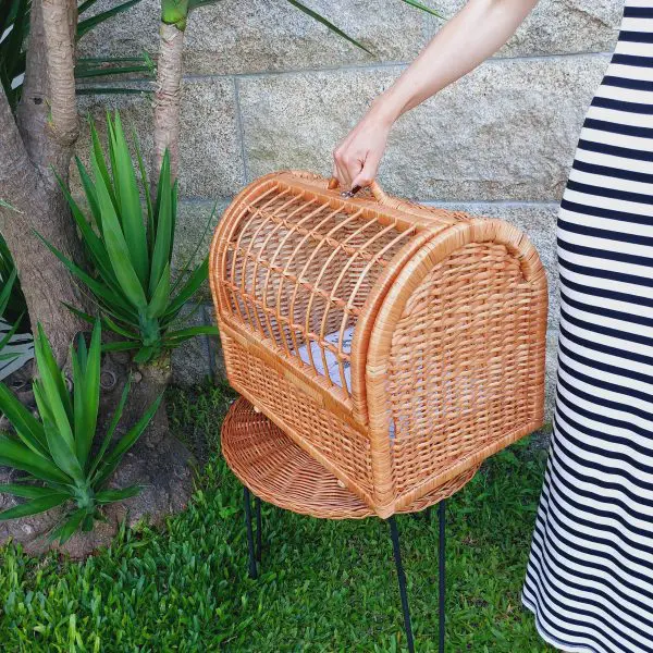 Large Wicker Pet Carrier Basket With Cushion