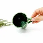 Cabbage Leaf Mug - 11oz Mug