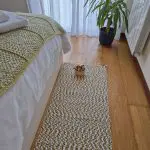 Long Rug Runner White Green Black - 50x300cm - Traditional Rug