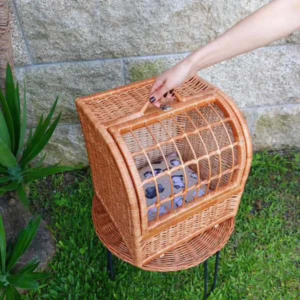 Wicker Pet Carrier With Cute Cushion