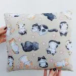 Wicker Pet Carrier With Cute Cushion