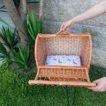 Large Wicker Pet Carrier Basket With Cushion