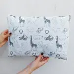 Round Pet Carrier With Cushion