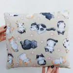 Round Pet Carrier With Cushion