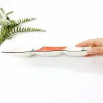 Ceramic Divided Plate With Sardines