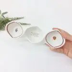Porcelain Appetizer Plate Divided into Three