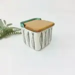 salt cellar pottery