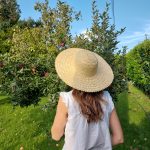 Straw Woman Hat Classic