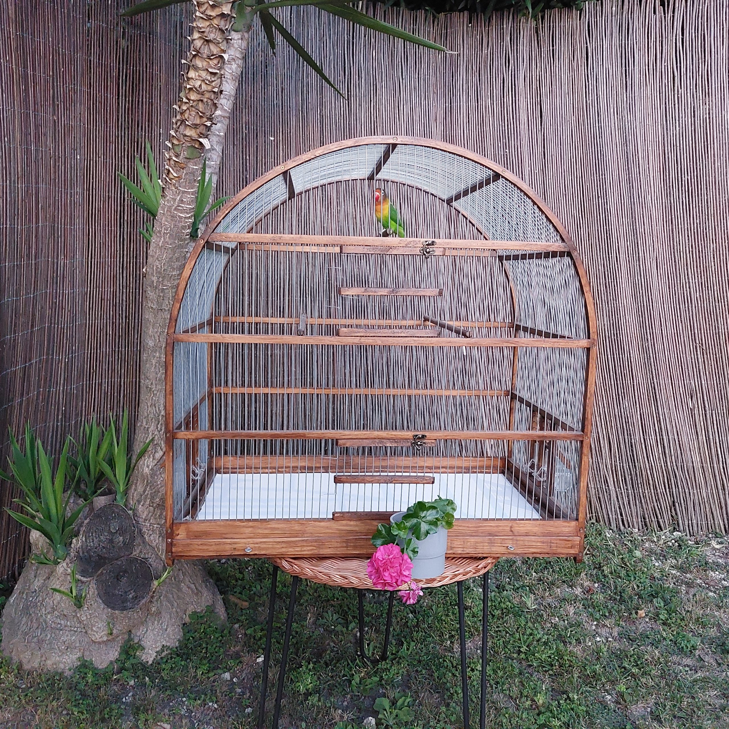 Extra Large Oval Bird Cage - PadaWorks - Extra Large Birdcage With End Customizable Features