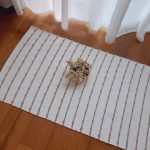 Small White and Old Rose Rug - 50x100cm - Knotted Rug