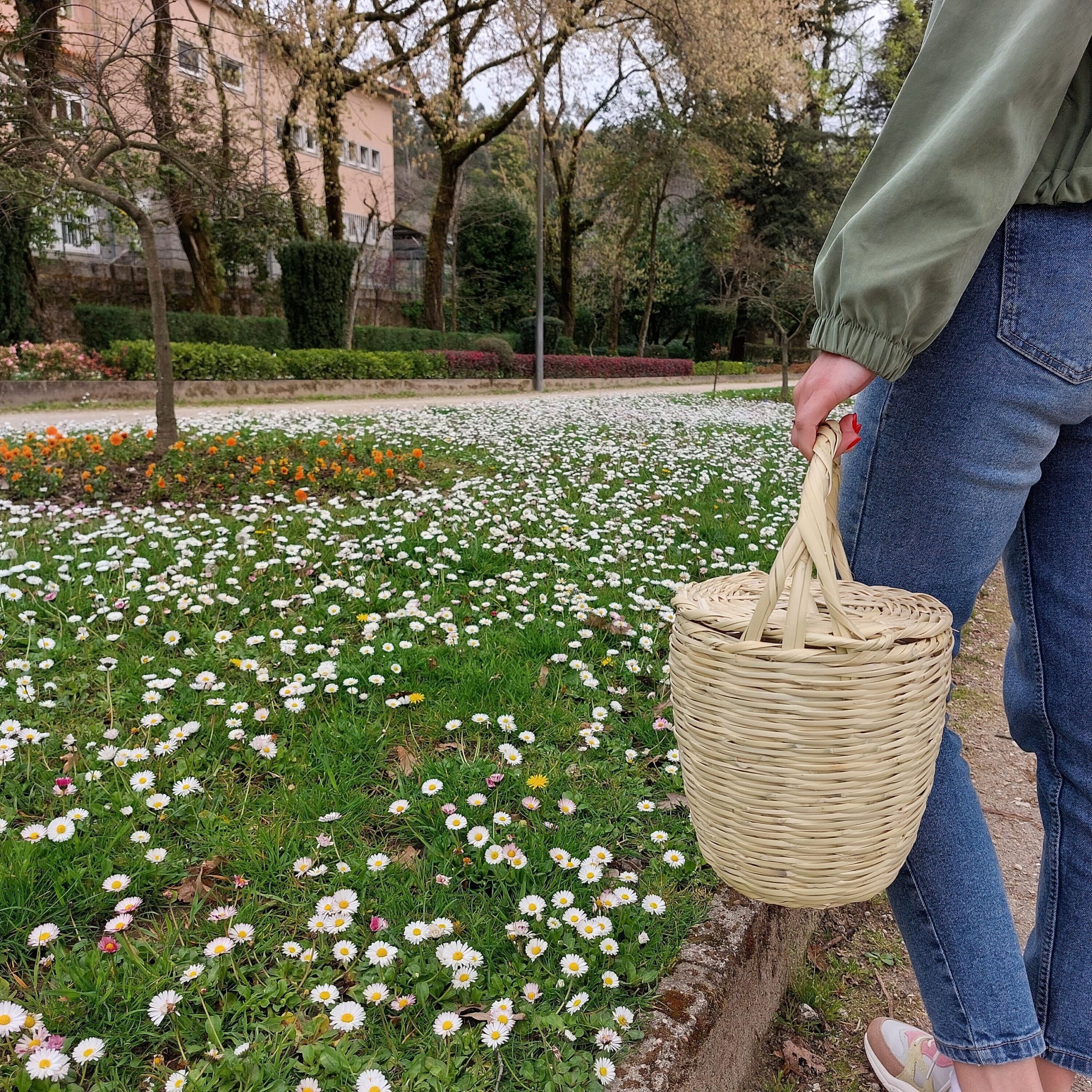 Jane Birkin Basket - Medium, Market Bag, Round Wicker Basket, Panier Rond, Basket of Mimbre Fruit Basket Panier Jane Birkin, Jane Birkin Korb