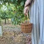 Mini Wicker Basket