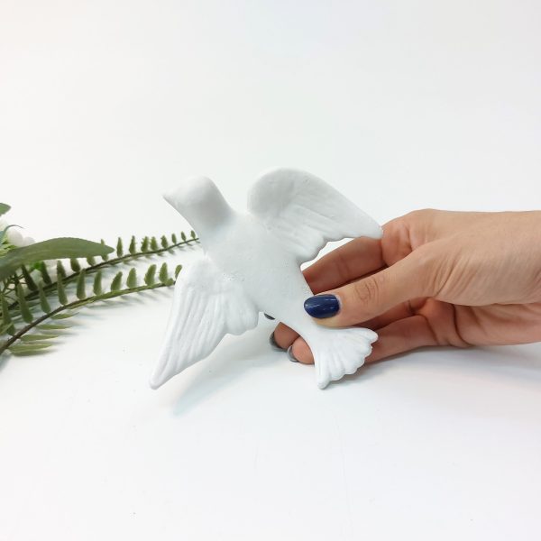 20241006_183129-dimensionado