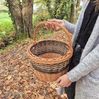 20241120_124847-scaled