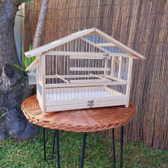 20250118_122115-scaled