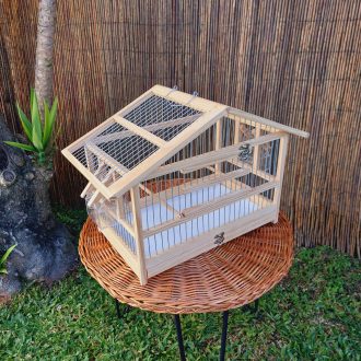 20250118_122204-scaled-e1740674903673