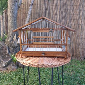 20250118_122840-dimensionado