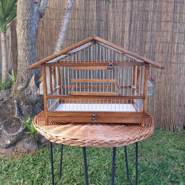 20250118_122840-dimensionado