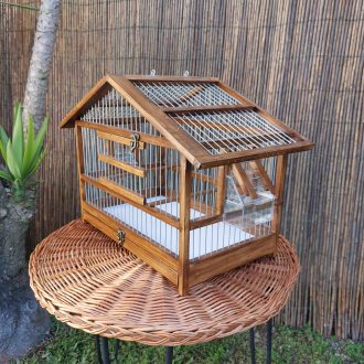 20250118_123013-escalonado-e1740674276883