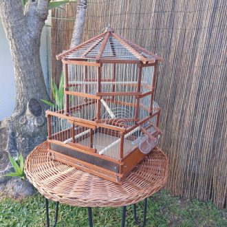 20250118_123916-scaled-e1740772415660