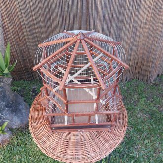 20250118_123924-scaled-e1740772401667