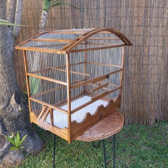 20250118_124457-scaled-e1740678289667