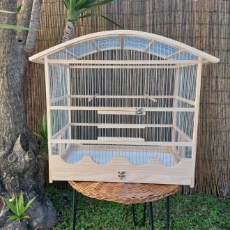 20250118_124715-scaled