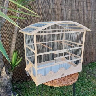 20250118_124725-scaled-e1740678753890