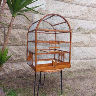 20250318_115753-scaled