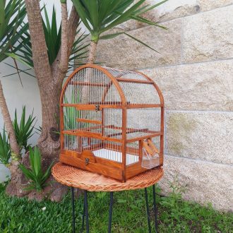 20250505_193342-escalonado-e1748612527647