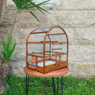 20250505_193513-escalonado-e1748612462105