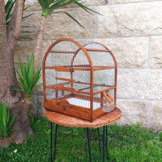 20250505_193525-dimensionado