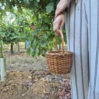 20250730_080646-escalado-e1758038953190