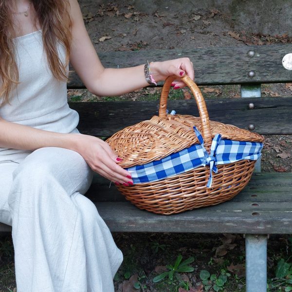 picnic basket with blue and white checkered lining