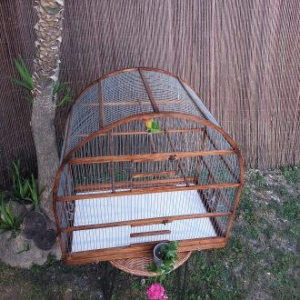 VC0U0800N_1-escalado