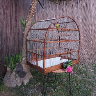 VC0U0800N_2-escalado