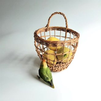 il_fullxfull.3198436842_nu9w