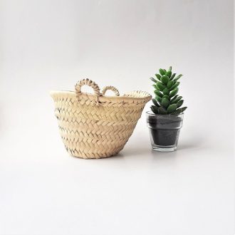 il_fullxfull.3312613686_nad2