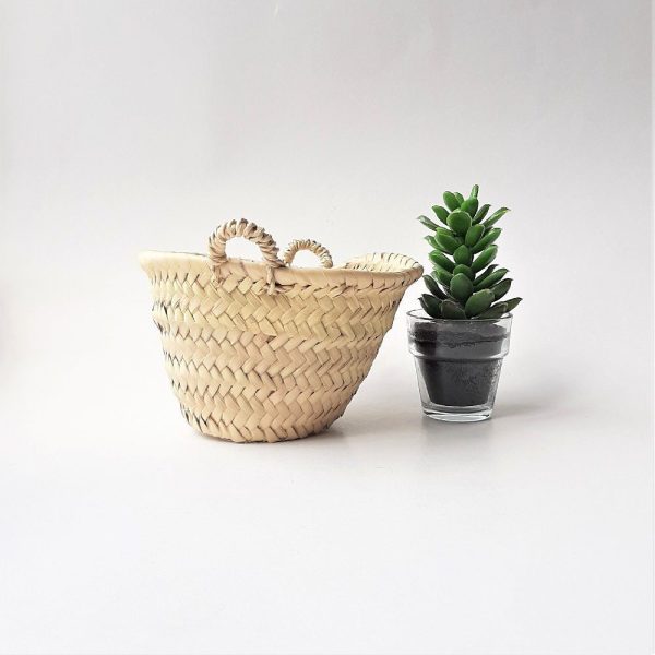 il_fullxfull.3312613686_nad2