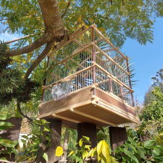 il_fullxfull.3506532854_ee0h