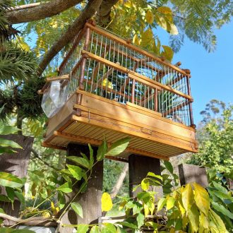 il_fullxfull.3506589364_q1wo