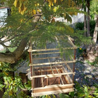 il_fullxfull.3554165913_6zpi