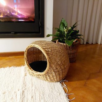 il_fullxfull.3641624669_jrwf-scaled