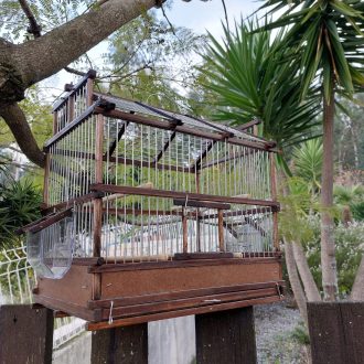 il_fullxfull.3668350727_3yit-scaled